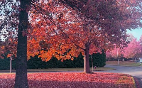 ��Ԋ(sh��)Ԋ(sh��)�~�b�p-�����ո��I�}���P(gu��n)�A�ǡ�