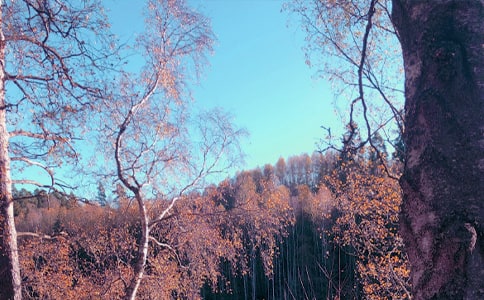 ���ո��I�}���P(gu��n)�A�ǵ�Ԋ�~�b�p���Y(ji��)