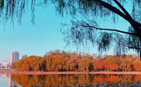 �������Մٴ�������ɢ��