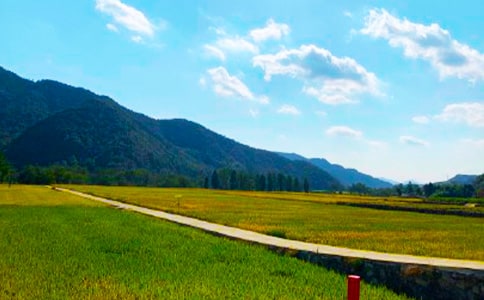 ���᡿���յ�����15ƪ