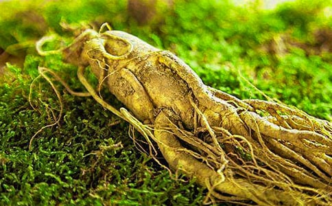 ��(g��)�˅��^�W(xu��)��(x��)�ĵ��w��(hu��)ģ��