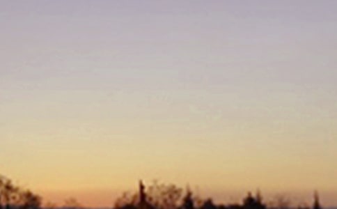 ���䌑(xi��)�����ģ����x56ƪ��