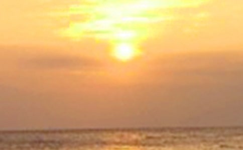 �����µĜ���Ψ���İ�