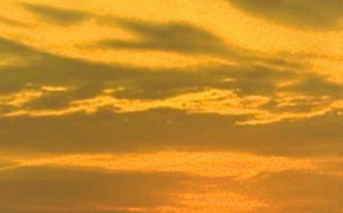 ����Ψ���Ŀ������İ�