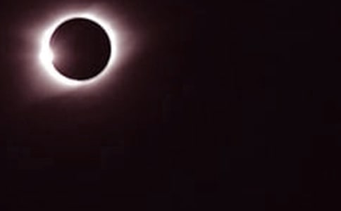 ���꼉(j��)�ƌW(xu��)��(c��)����ʳ����ʳ���̌W(xu��)��˼����