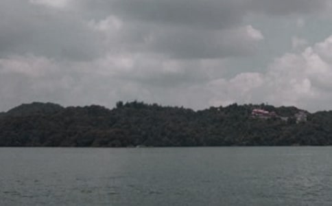 �P(gu��n)������̶����������