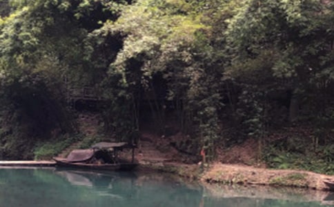 ���{�����~