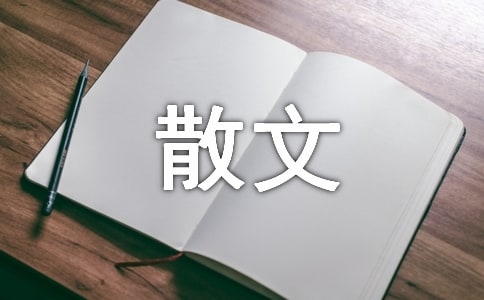 張曉風(fēng)經(jīng)典散文(通用11篇)