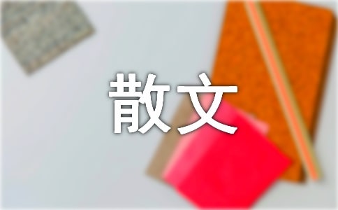 那些年_抒情類散文300字
