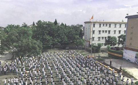 2024ɢ�W(xu��)��Y������ͨ��11ƪ��