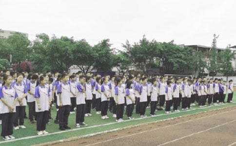 ����ɢ�W(xu��)��Y���v��