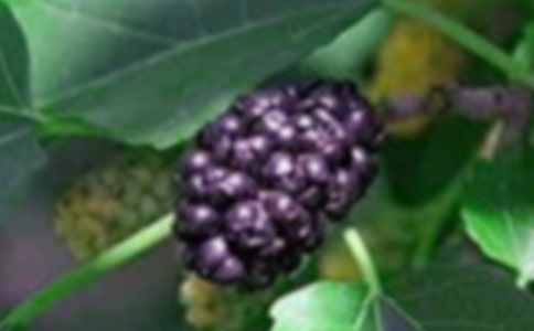 [��(y��u)]ժɣ������