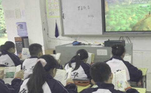 ���n�t���zӑ��800�֣����x15ƪ��