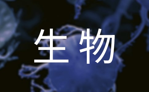 �������(x��)��淶�ąR��10ƪ