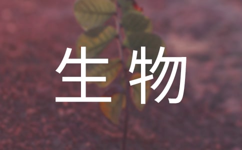 Ů��������؈һ�ӵ�������Ҫ����������