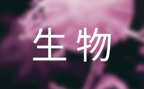 ������ˎ��(zhu��n)�I(y��)��(ji��n)�v�����x11ƪ��