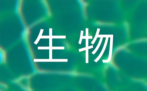 �����＾����Ӌ(j��)������