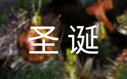 圣誕節(jié)日記(精選52篇)