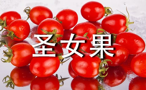 ���J�Rֲ��ʥŮ���������̰�