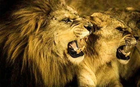 đС�Ī{��ͯԒ���ģ����x15ƪ��