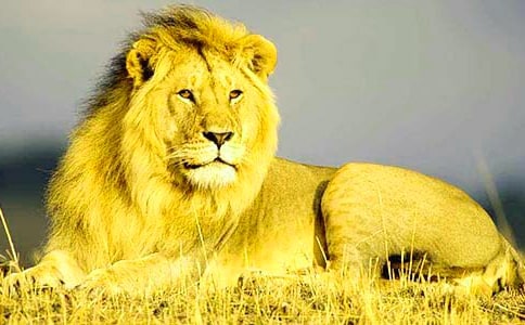 �{�ӵ���ӛ300��