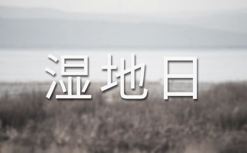 �������ջ�ӿ��Y(ji��)