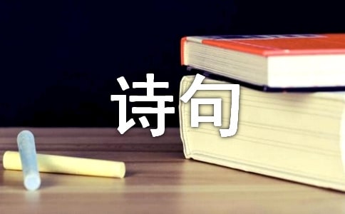 �P(gu��n)�����鲻�õ�Ԋ(sh��)��