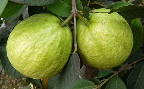 �tʯ�����ģ����x21ƪ��