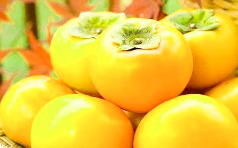 ���Ә����ģ���(y��u)�㣩