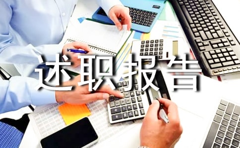 個人年度述職報告