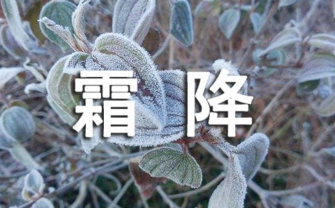 �茑˪���Ĺ�Ԋ�~�����x65�ף�