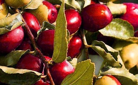 ��ϲ�g�Ե�ˮ����ӛ300��