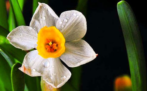 ��ˮ����.��÷�����g�p��