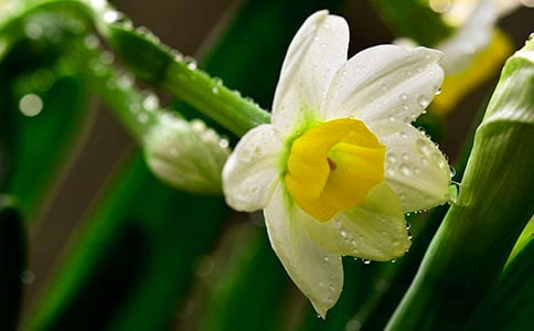 ˮ����,���e���g�p��