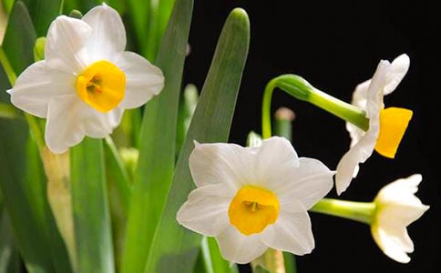 ˮ�����^(gu��)�۹���.�И�(l��)עጼ��g��