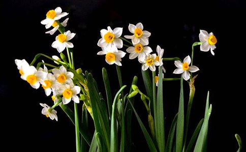 ˮ���ӡ��ͱR���S�����R���h(yu��n)���g�p��