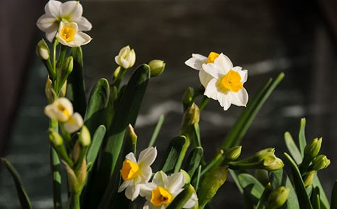 ˮ����.Թ�L(f��ng)���Ԋ�~�b�p