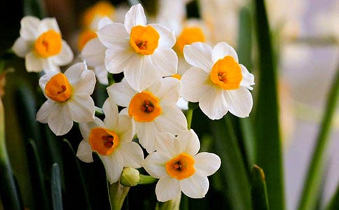 ˮ�ɻ�����[��(y��u)��15ƪ]