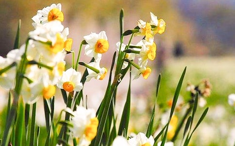 ˮ�ɻ����^����ӛ