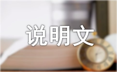 �P�ڰ��̲����f����800��