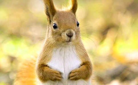��������xԇ�}����