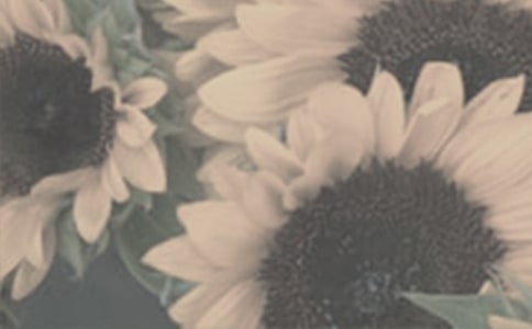 С�����g(sh��)��(y��u)��̰����̌W(xu��)��˼��������̫ꖻ���