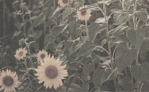 �B��(qi��ng)���L��̫ꖻ���ӛ����