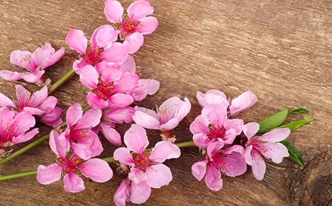 ���P(gu��n)�茑�һ��ă�(y��u)������