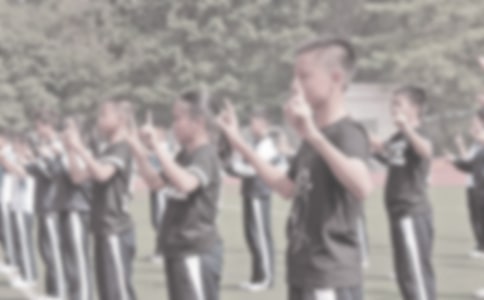 �P(gu��n)��С�W(xu��)�w���̌W(xu��)�������Y(ji��)���ģ�ͨ��16ƪ��