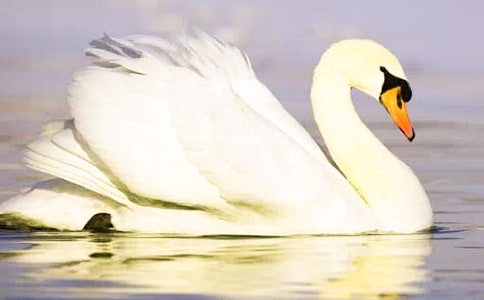 ��(d��ng)��׃�������Z���ģ����x15ƪ��