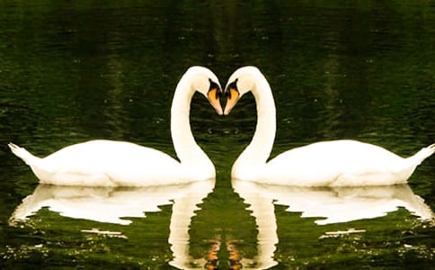 ��Ұ���Z���x��У����x19ƪ��