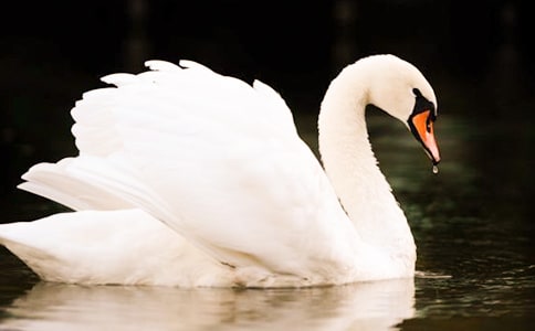 ���Z�͞����F(xi��n)������x��