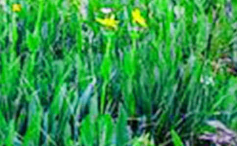 ��������Ұ���ı؂䡾15ƪ��