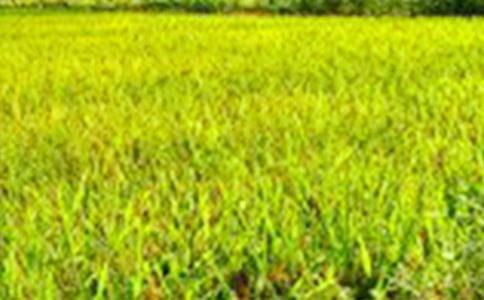 (���x)��������Ұ����15ƪ